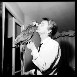 Claude François Kissing His Parrot-Therese Begoin-Photographic Print