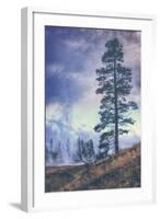 Thermal Trees - Yellowstone National Park-Vincent James-Framed Photographic Print