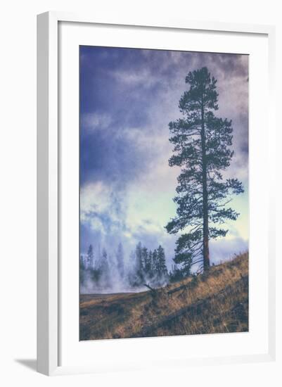 Thermal Trees - Yellowstone National Park-Vincent James-Framed Photographic Print