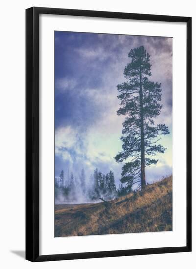 Thermal Trees - Yellowstone National Park-Vincent James-Framed Photographic Print
