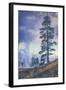 Thermal Trees - Yellowstone National Park-Vincent James-Framed Photographic Print