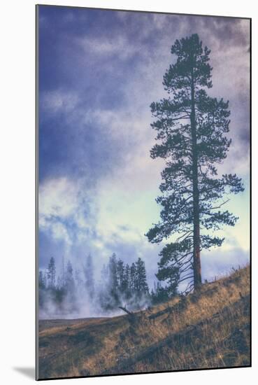 Thermal Trees - Yellowstone National Park-Vincent James-Mounted Photographic Print