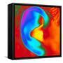 Thermogram of a Close-up of a Human Ear-Dr. Arthur Tucker-Framed Stretched Canvas