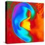 Thermogram of a Close-up of a Human Ear-Dr. Arthur Tucker-Stretched Canvas