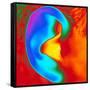 Thermogram of a Close-up of a Human Ear-Dr. Arthur Tucker-Framed Stretched Canvas