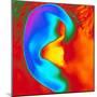 Thermogram of a Close-up of a Human Ear-Dr. Arthur Tucker-Mounted Premium Photographic Print