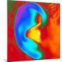 Thermogram of a Close-up of a Human Ear-Dr. Arthur Tucker-Mounted Photographic Print