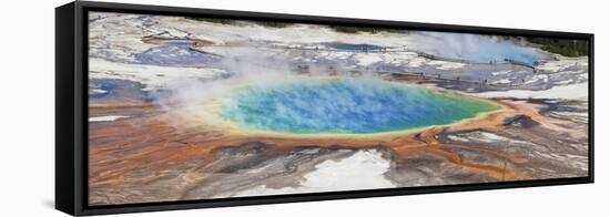 Thermophile bacterial mats and steam rising from hotspring, Midway Geyser Basin-Bill Coster-Framed Stretched Canvas