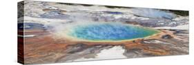 Thermophile bacterial mats and steam rising from hotspring, Midway Geyser Basin-Bill Coster-Stretched Canvas