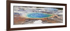 Thermophile bacterial mats and steam rising from hotspring, Midway Geyser Basin-Bill Coster-Framed Photographic Print