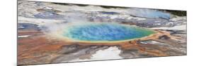 Thermophile bacterial mats and steam rising from hotspring, Midway Geyser Basin-Bill Coster-Mounted Photographic Print