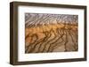 Thermophile bacterial mats at hotspring, Grand Prismatic Spring, Midway Geyser Basin, Yellowstone-Bill Coster-Framed Photographic Print