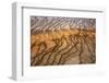 Thermophile bacterial mats at hotspring, Grand Prismatic Spring, Midway Geyser Basin, Yellowstone-Bill Coster-Framed Photographic Print