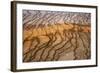 Thermophile bacterial mats at hotspring, Grand Prismatic Spring, Midway Geyser Basin, Yellowstone-Bill Coster-Framed Photographic Print