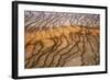 Thermophile bacterial mats at hotspring, Grand Prismatic Spring, Midway Geyser Basin, Yellowstone-Bill Coster-Framed Photographic Print