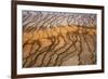 Thermophile bacterial mats at hotspring, Grand Prismatic Spring, Midway Geyser Basin, Yellowstone-Bill Coster-Framed Photographic Print