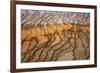 Thermophile bacterial mats at hotspring, Grand Prismatic Spring, Midway Geyser Basin, Yellowstone-Bill Coster-Framed Photographic Print