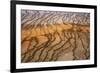 Thermophile bacterial mats at hotspring, Grand Prismatic Spring, Midway Geyser Basin, Yellowstone-Bill Coster-Framed Photographic Print