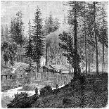 Sawmill, California, 19th Century-Theroud-Framed Giclee Print