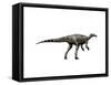 Thescelosaurus Dinosaur-null-Framed Stretched Canvas