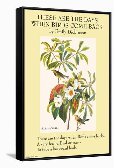 These Are the Day When Birds Come Back-Emily Dickinson-Framed Stretched Canvas