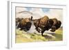 These Buffalo are Bison, 1962-G. W Backhouse-Framed Giclee Print