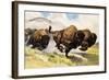 These Buffalo are Bison, 1962-G. W Backhouse-Framed Giclee Print