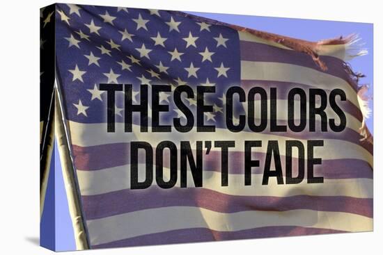 These Colors Dont Fade American Flag-null-Stretched Canvas