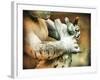 These Hands-Christy Ann-Framed Giclee Print