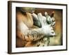 These Hands-Christy Ann-Framed Giclee Print