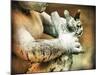 These Hands-Christy Ann-Mounted Giclee Print