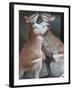 These Two Kangaroos Frolic in the Cold at Munich's Zoological Garden Hellabrunn-null-Framed Photographic Print