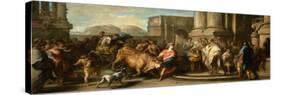 Theseus Taming the Bull of Marathon, c.1730-Carle van Loo-Stretched Canvas