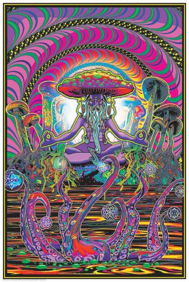 Standard Poster, , large