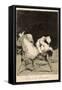 They Carried Her Off!-Francisco de Goya-Framed Stretched Canvas