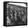 They Press On, the True Bull Dog Rush of Our Troops at Gallipoli, Turkey, World War I, 1915-null-Framed Stretched Canvas