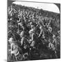 They Press On, the True Bull Dog Rush of Our Troops at Gallipoli, Turkey, World War I, 1915-null-Mounted Photographic Print