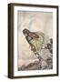 They ran him by hill and plain', c1910-Stephen Reid-Framed Giclee Print