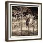 They Stood Outside, Filled with Savagery and Terror, Illustration from 'Irish Fairy Tales'-Arthur Rackham-Framed Giclee Print