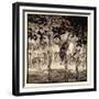 They Stood Outside, Filled with Savagery and Terror, Illustration from 'Irish Fairy Tales'-Arthur Rackham-Framed Giclee Print