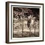 They Stood Outside, Filled with Savagery and Terror, Illustration from 'Irish Fairy Tales'-Arthur Rackham-Framed Giclee Print