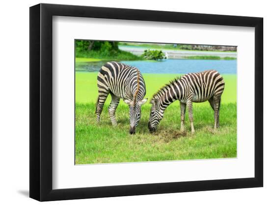 Premium Photographic Print, , large