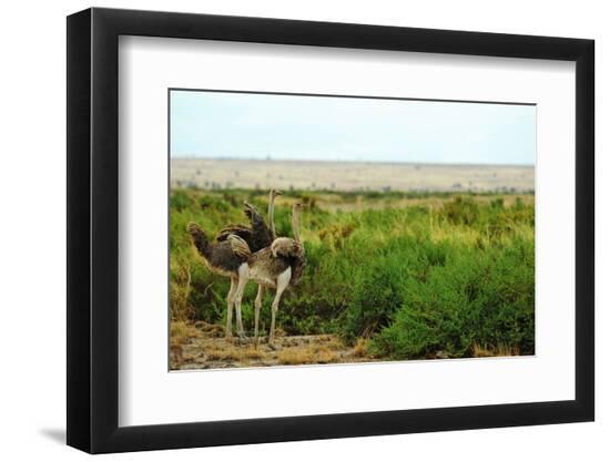 Premium Photographic Print, , large