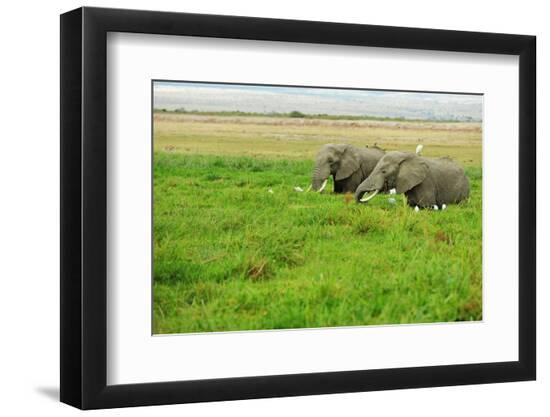 Premium Photographic Print, , large