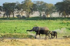 Kenya, Amboseli National Park, Elephants in Family in Front of Clouded Kilimanjaro-Thibault Van Stratum/Art in All of Us-Photographic Print