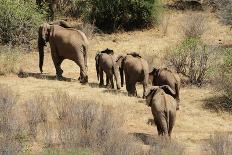 Kenya, Amboseli National Park, Elephants in Family in Front of Clouded Kilimanjaro-Thibault Van Stratum/Art in All of Us-Photographic Print