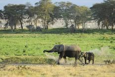 Kenya, Amboseli National Park, Elephants in Family in Front of Clouded Kilimanjaro-Thibault Van Stratum-Photographic Print