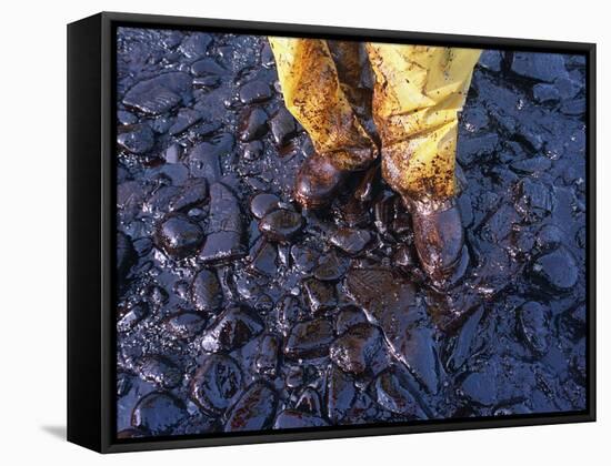 Thick Crude Oil Washed up on the Cobble Beach of Evans Island-null-Framed Stretched Canvas