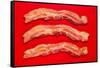 Thick Cut Bacon-Steve Gadomski-Framed Stretched Canvas