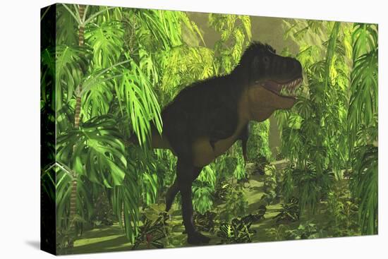 Thick Jungle Foliage Hides a Large Tyrannosaurus Rex as He Hunts for Prey-Stocktrek Images-Stretched Canvas